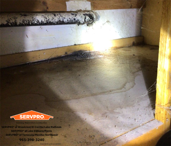 drain leakage under the sink showing long-term water damage 